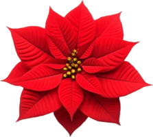 AI generated christmas poinsettia flower png