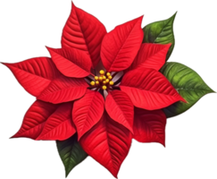 AI generated christmas poinsettia flower png