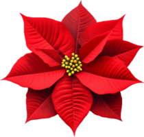 AI generated christmas poinsettia flower png