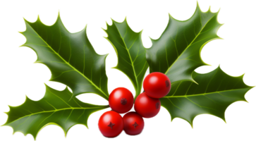 AI generated christmas holly png