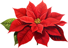 AI generated christmas poinsettia flower png