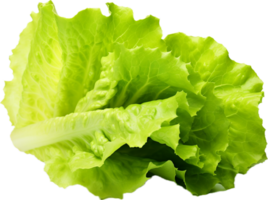 AI generated fresh lettuce png