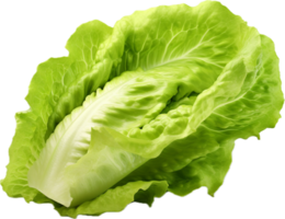 AI generated fresh lettuce png