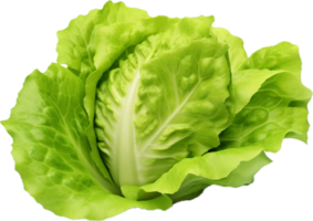 AI generated fresh lettuce png