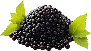 ai généré noir caviar png