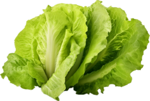 AI generated fresh lettuce png