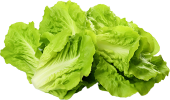 AI generated fresh lettuce png