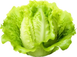 AI generated fresh lettuce png