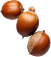 AI generated falling whole hazelnuts png