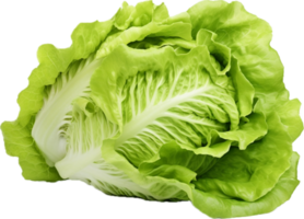 AI generated fresh lettuce png