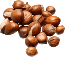 AI generated falling whole hazelnuts png