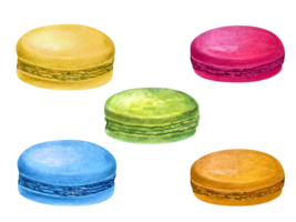 Traditional French macarons. Colorful Almond cookies, macaroon cake. Blue, green and red sweet dessert. Watercolor illustration. For package, menu, recipe, label png