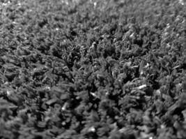 Black and white grass background close view, grayscale grass photo