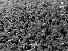 Black and white grass background close view, grayscale grass photo