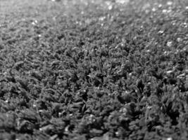 Black and white grass background close view, grayscale grass photo