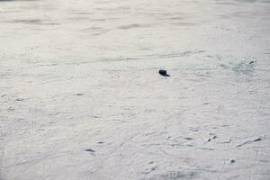 hockey puck lies on the ice in the stadium photo