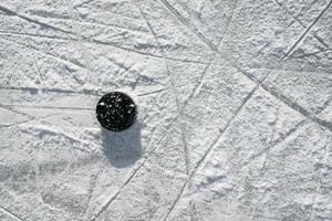 hockey puck lies on the ice in the stadium photo