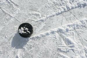 hockey puck lies on the ice in the stadium photo