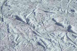 traces on the ice from skates on the rink photo