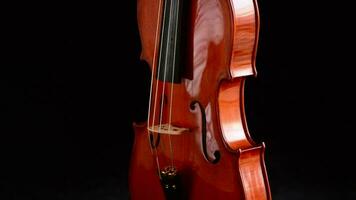 Detail of body and bridge with strings of violin or viola instrument gyrating video