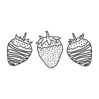 Hand drawn Kids drawing Cartoon Vector illustration chocolate covered strawberries Isolated on White Background