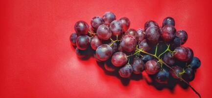 Vitis vinifera or red grapes photographed from a high angle view and isolated on red background. photo