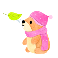 Groundhog hand drawn png