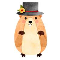 marmota mão desenhado png