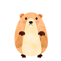 marmota mão desenhado png