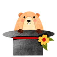 Groundhog hand drawn png