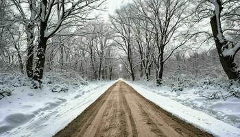 ai generado suciedad la carretera en medio de invierno bosque foto