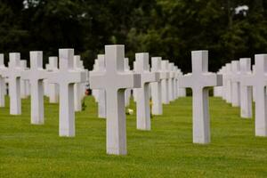 rows of white crosses in a cemetery photo