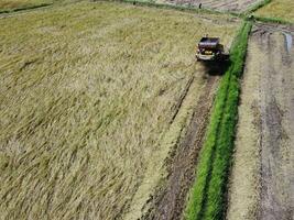 Rice harvester, agricultural machinery is working in the rice field. Aerial photography photo