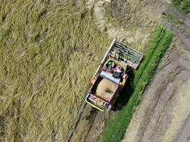 Rice harvester, agricultural machinery is working in the rice field. Aerial photography photo