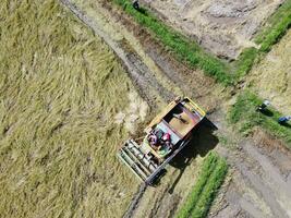 Rice harvester, agricultural machinery is working in the rice field. Aerial photography photo