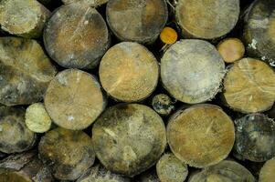 a pile of logs with a yellow circle on top photo