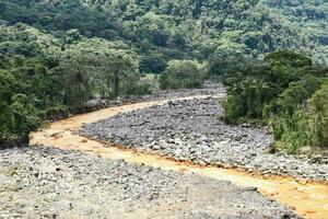 a river that is orange in color with rocks and trees photo