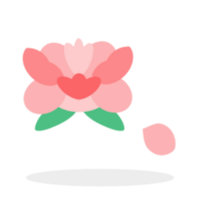 lotus illustration design png