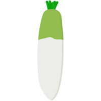 Radish illustration design png