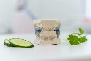 ceramic jaws with a staple lie with sliced cucumber photo