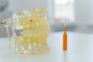artificial transparente mandíbula con un cepillo mentira en el mesa foto