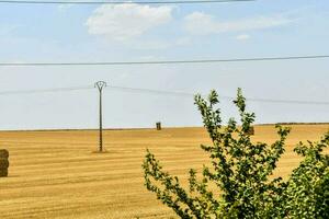 a field with hay bales and power lines photo