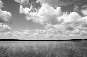 Black and White Beautiful sky background photo