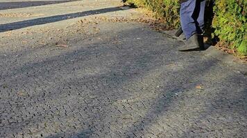 A worker removes autumn leaves in the park. Close-up. Preparing the city for winter. video