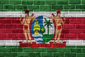 Flag and coat of arms of Republic of Suriname on a textured background. Concept collage. photo