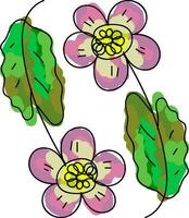 Two multi-colored cartoon oily flowers with green leaves vector or color illustration