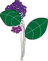 Line art of purple-colored flowers with green leaves vector or color illustration