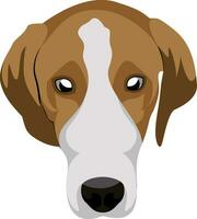 Beagle illustration vector on white background