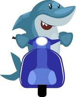 Shark on blue scooter, illustration, vector on white background.