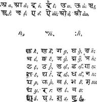 Sanskrit alphabet, vintage engraving. vector